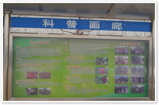 專業(yè)培訓(xùn)3