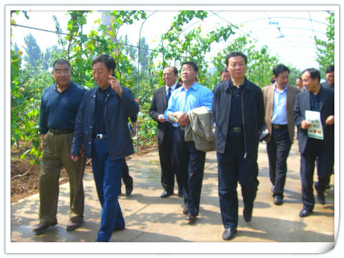 2008年區人大領導來天匯園指導工作