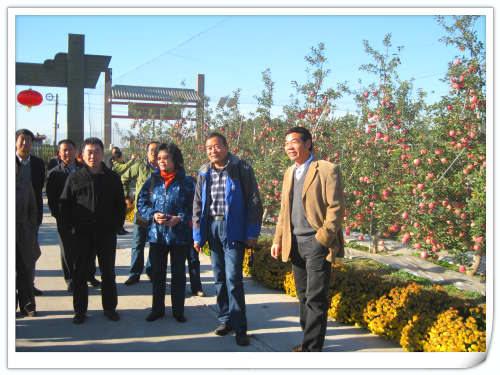 2011.10.25魏老師帶政協領導來昌平天匯園參觀考察