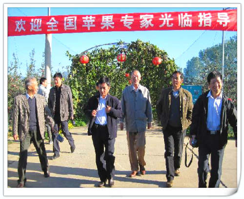 2009年昌平蘋果節全國蘋果專家來天匯園指導工作