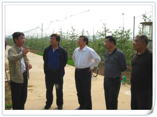 2011.4.28北京市上海市林業總站領導來昌平天匯園果園參觀指導