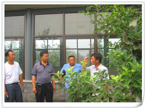 2011.7.11國家蘋果產業技術體系甘肅平涼試驗站領導來昌平參觀交流