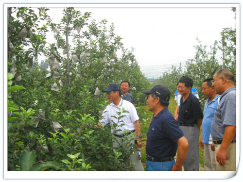 2011.7.14外國蘋果專家成田束敏先生來天匯園指導交流